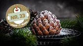Essbarer Tannenzapfen Dessert