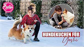 Hundekuchen selber backen
