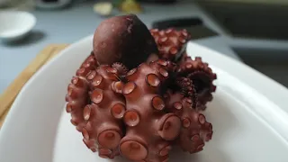 Oktopus perfekt zubereiten